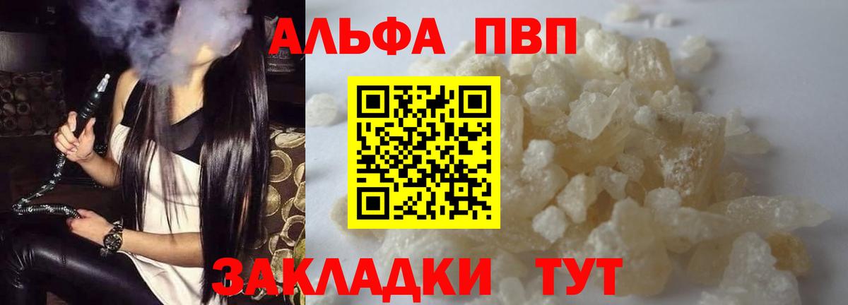 Котовск  Альфа ПВП крисы CK  Вход с VPN 